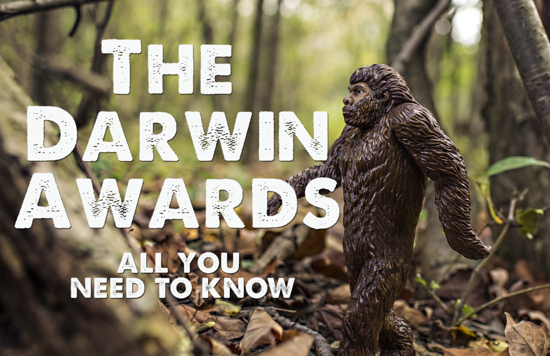 The Darwin Awards Everything You Need to Know TalkDeath